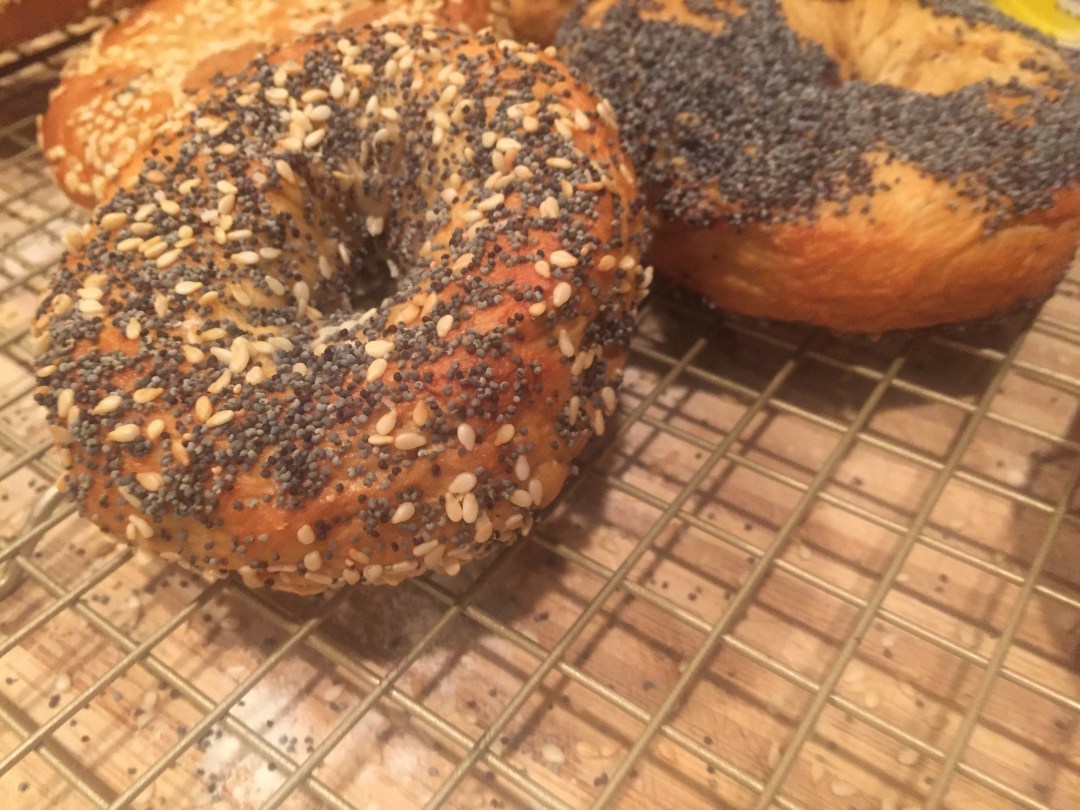home made new york style bagels,